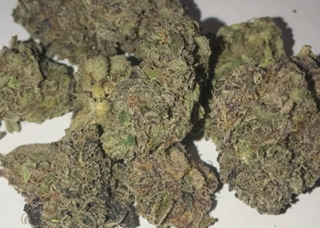 Blissful Bud : Top Purchasing Advantages for Balanced Body and Brain