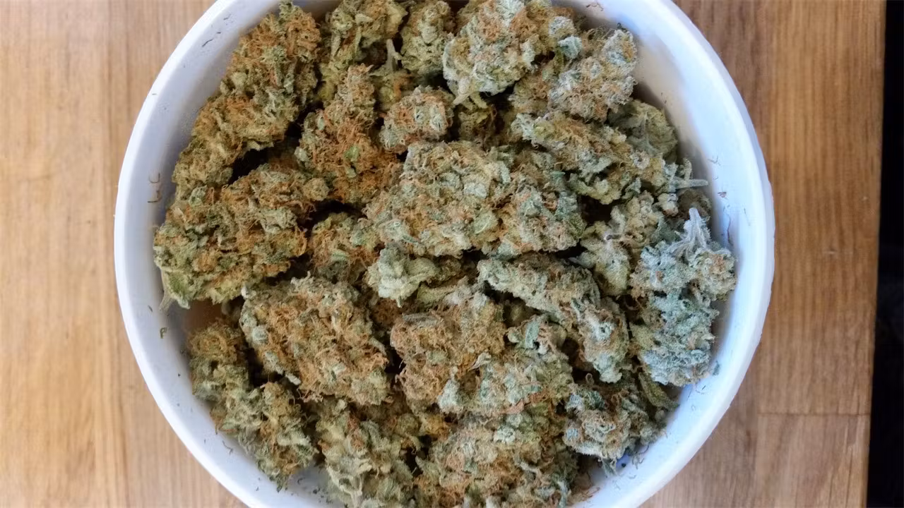 cannabis shop near me 